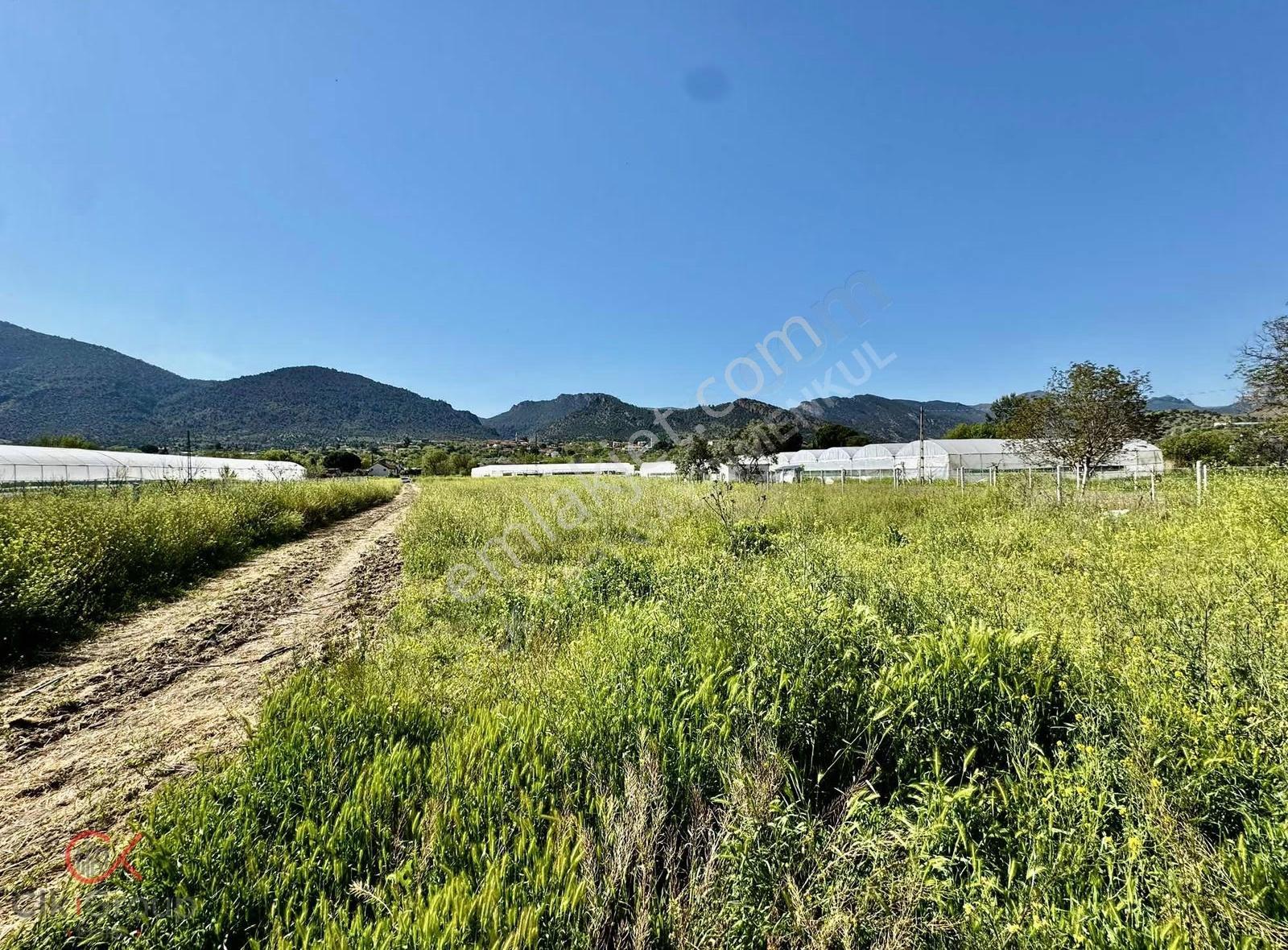Clk Gayrimenkulden Mayıslarda Köy İçinde 1800 M² Yatırımlık Bağ - Görsel 10