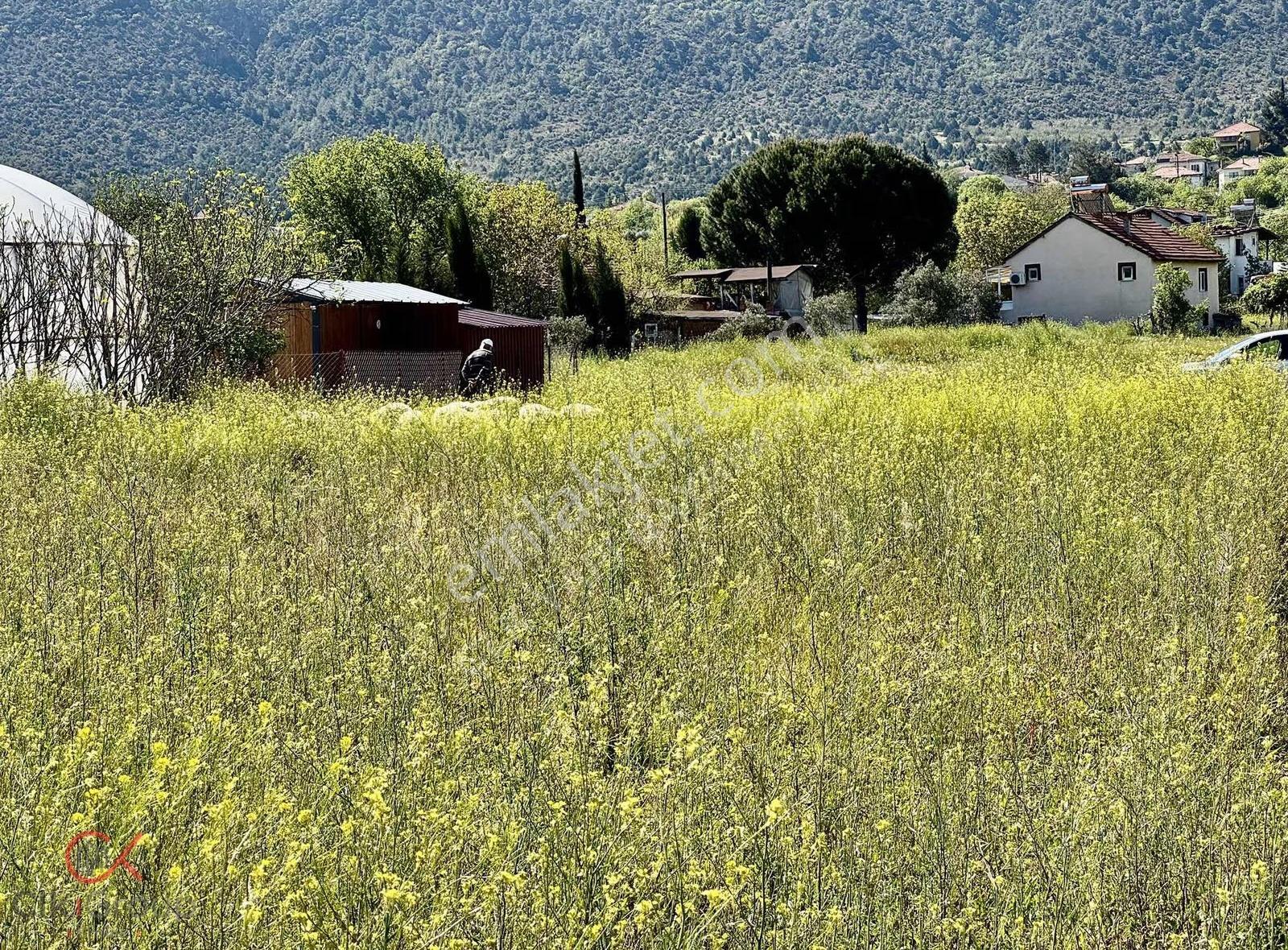Clk Gayrimenkulden Mayıslarda Köy İçinde 1950 M² Yatırımlık Bağ - Görsel 13