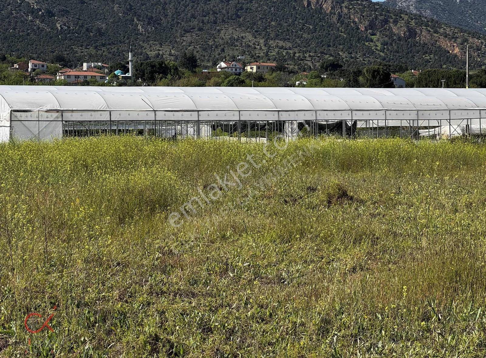 Clk Gayrimenkulden Mayıslarda Köy İçinde 1950 M² Yatırımlık Bağ - Görsel 18