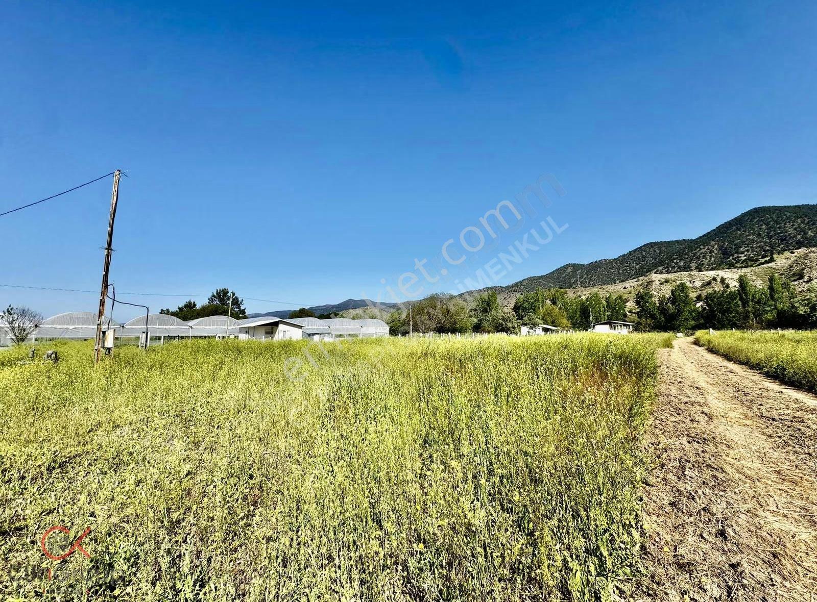 Clk Gayrimenkulden Mayıslarda Köy İçinde 1950 M² Yatırımlık Bağ - Görsel 28
