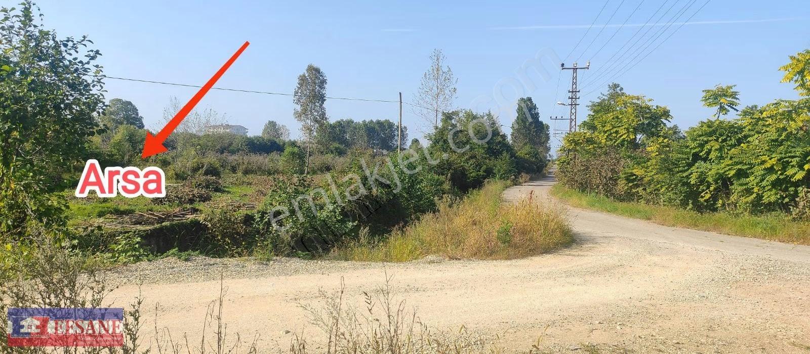Fatsa Yenipazar Da Satılık Arsa