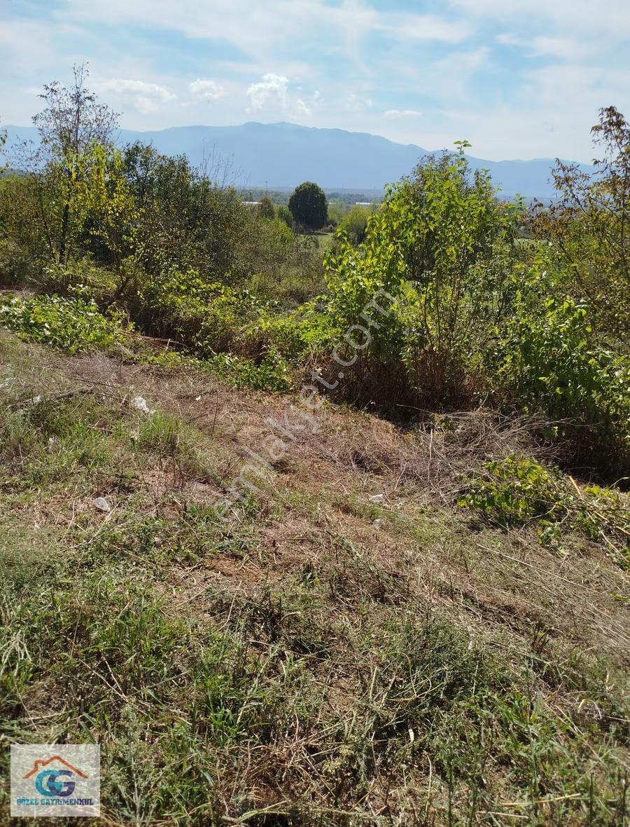 Gözel Gayrimenkulden İzmit Bayraktar Mh.305m2 Köyiçi İmarlı Arsa - Görsel 3
