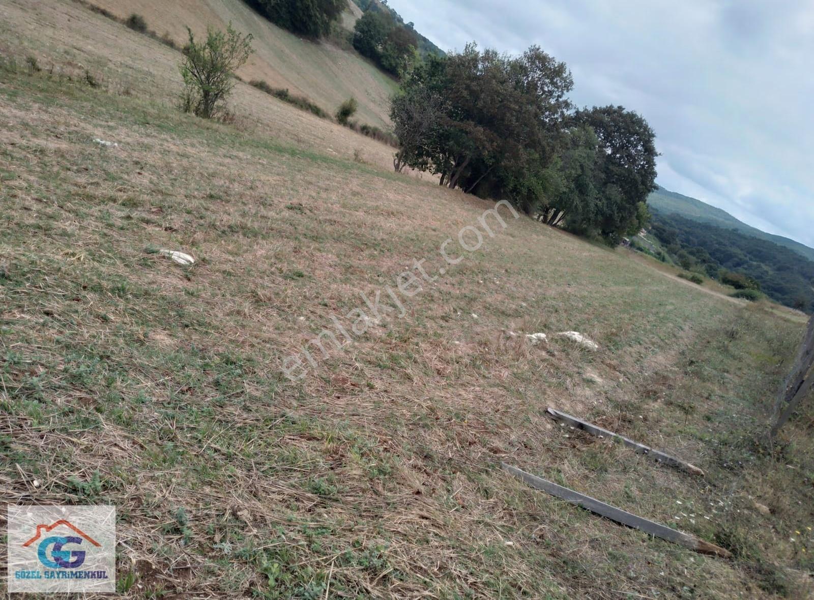 Gözel Gayrimenkulden İzmit Sarışeyh Te 582 M2 Ana Yola 335 Metre - Görsel 3