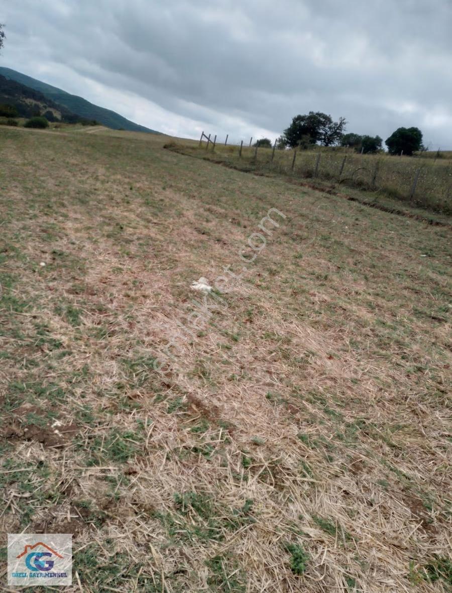 Gözel Gayrimenkulden İzmit Sarışeyh Te 582 M2 Ana Yola 335 Metre - Görsel 4