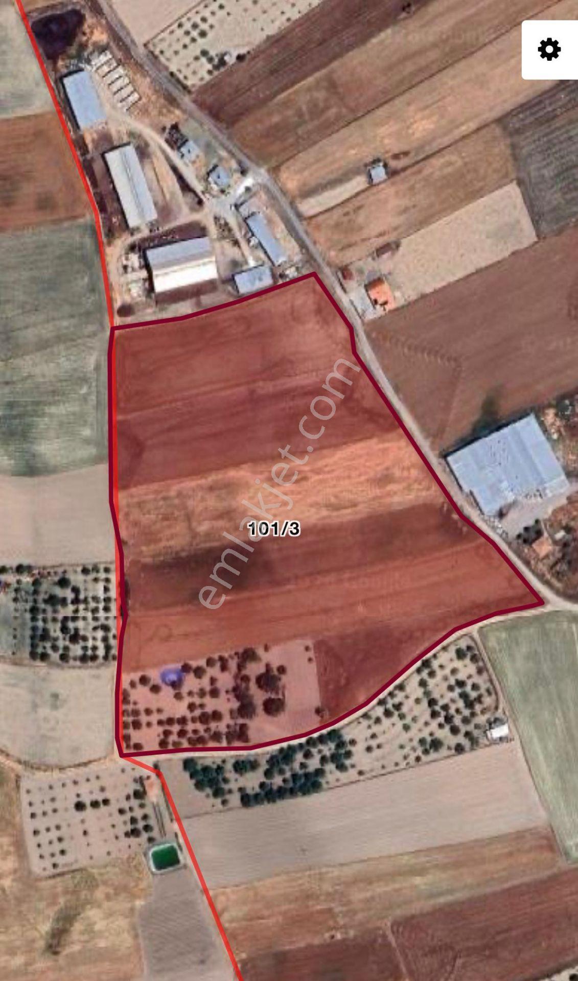 Ayaş-oltan'da İmara Sınır Asfalta Yakın 8.500 M2 Hisse Tapulu Muhteşem Yatırım Fırsatı - Görsel 6