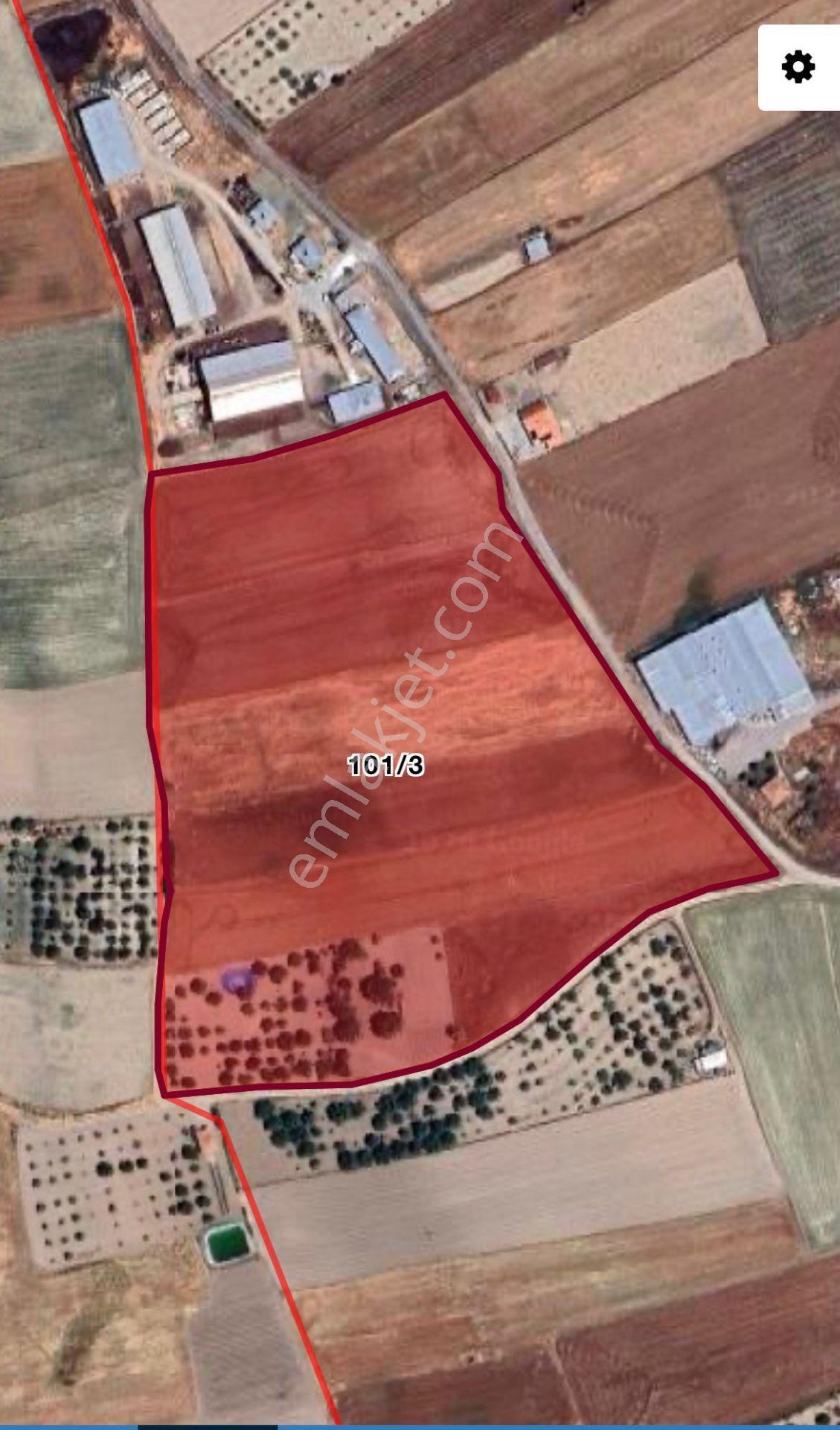 Ayaş-oltan'da İmara Sınır Asfalta Yakın 8.500 M2 Hisse Tapulu Muhteşem Yatırım Fırsatı - Görsel 7