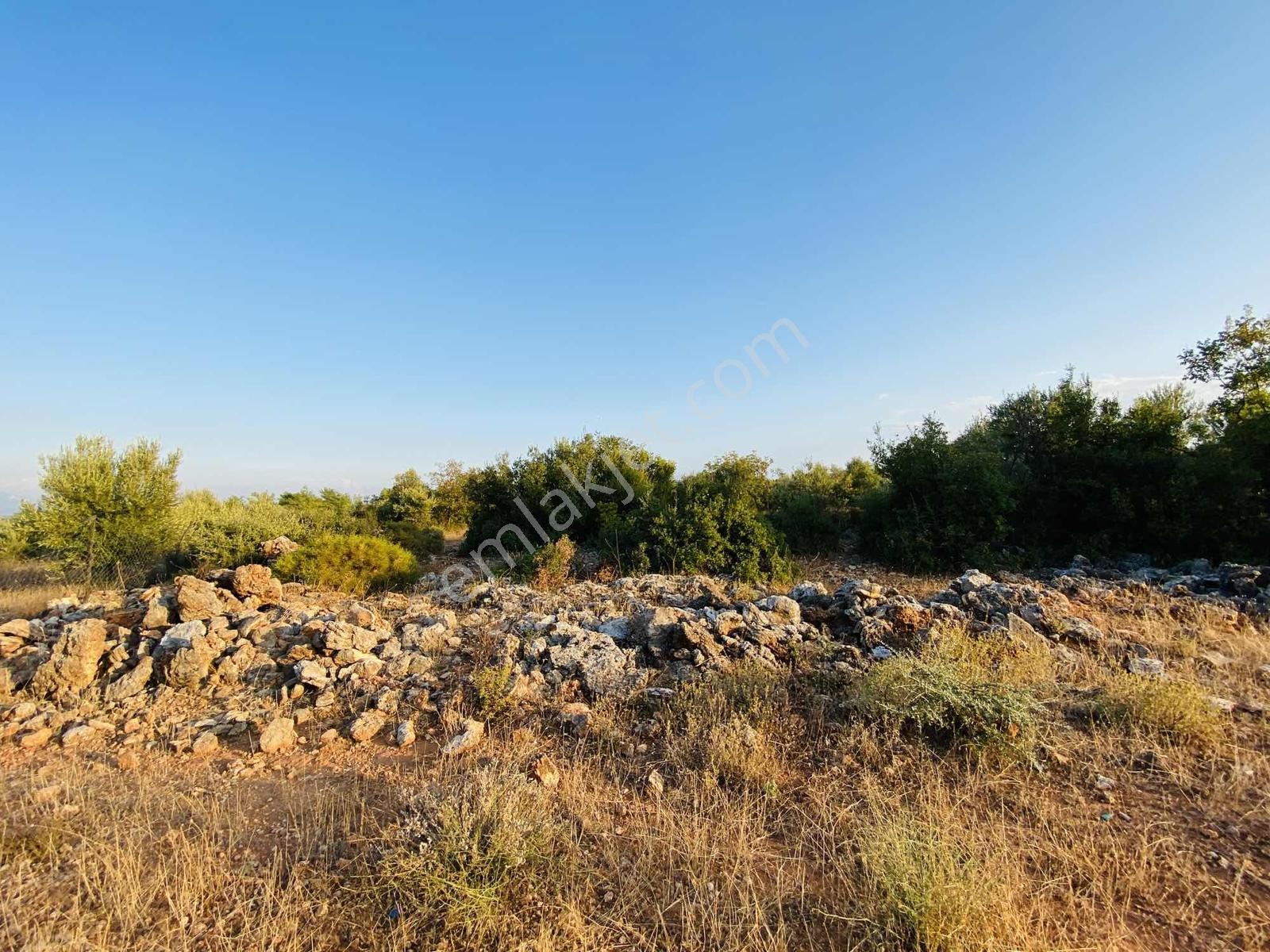 Aksu Topallı'da Köşe Başı 3 Tarafı Yol 388m2 İmarlı Villa Arsası - Görsel 7