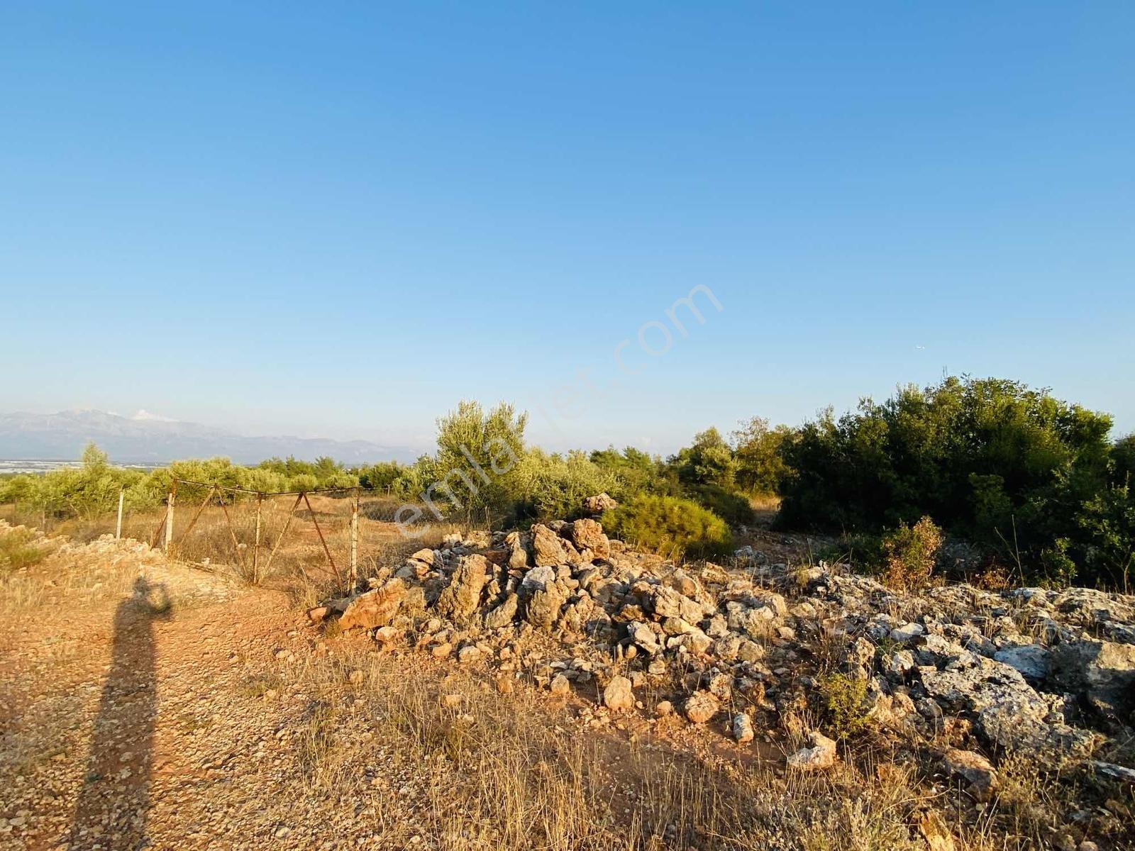 Aksu Topallı'da Köşe Başı 3 Tarafı Yol 388m2 İmarlı Villa Arsası - Görsel 2