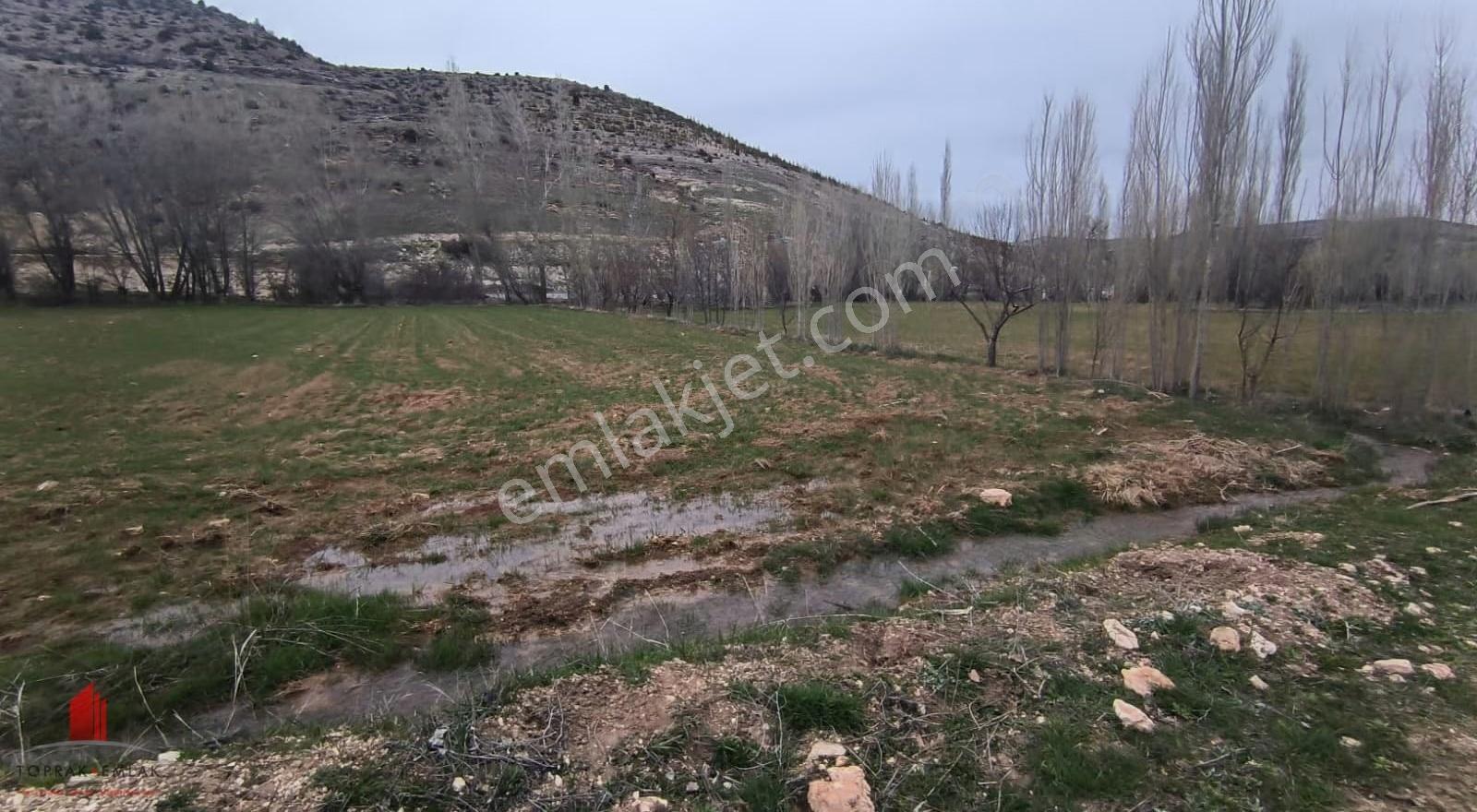 Başarakavak Akpınar Yolunda 2542m2 Müstakil Satılık Bahçe Yeri - Görsel 10