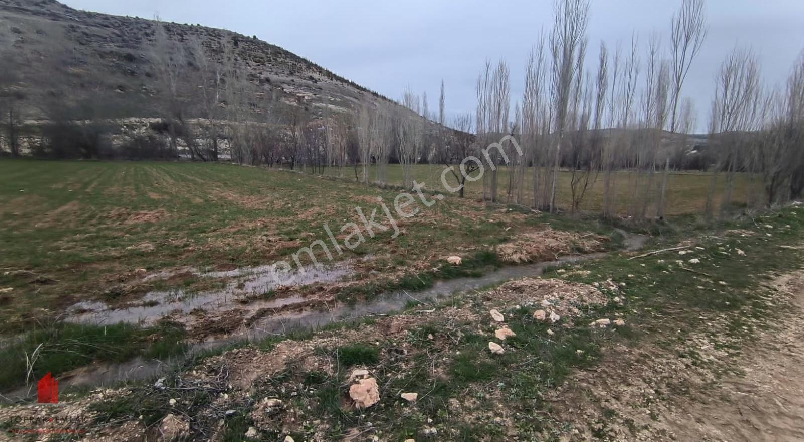 Başarakavak Akpınar Yolunda 2542m2 Müstakil Satılık Bahçe Yeri - Görsel 7