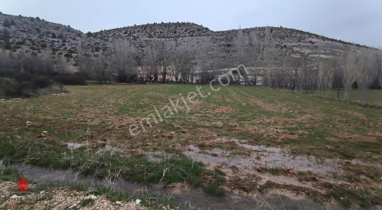 Başarakavak Akpınar Yolunda 2542m2 Müstakil Satılık Bahçe Yeri
