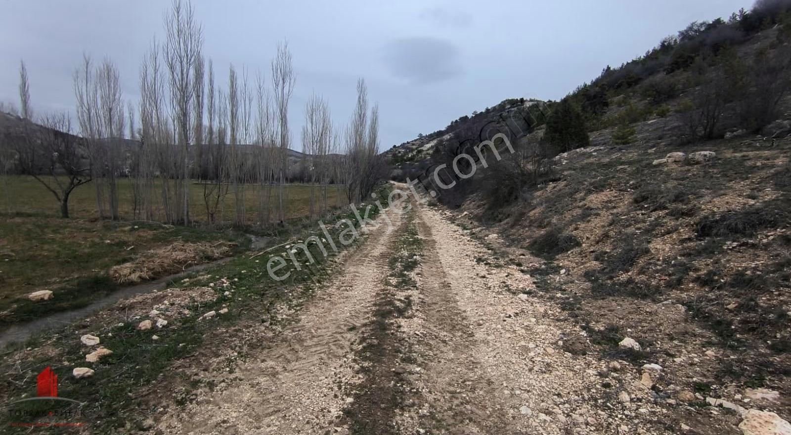 Başarakavak Akpınar Yolunda 2542m2 Müstakil Satılık Bahçe Yeri - Görsel 9
