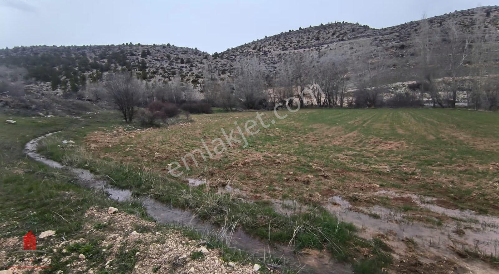 Başarakavak Akpınar Yolunda 2542m2 Müstakil Satılık Bahçe Yeri - Görsel 8
