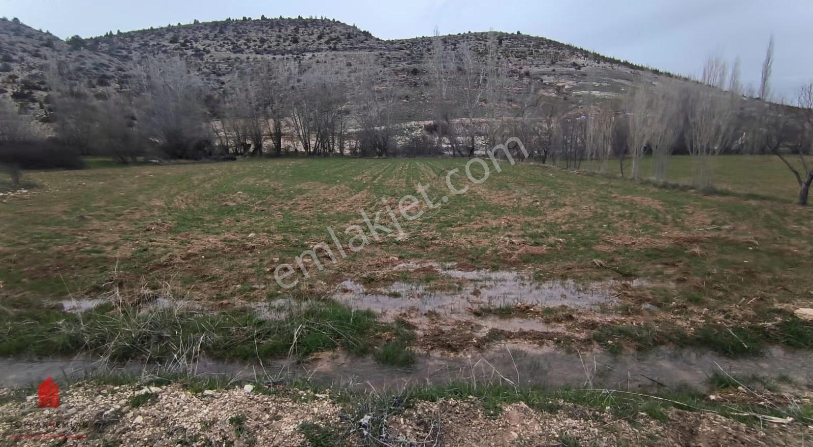 Başarakavak Akpınar Yolunda 2542m2 Müstakil Satılık Bahçe Yeri - Görsel 6