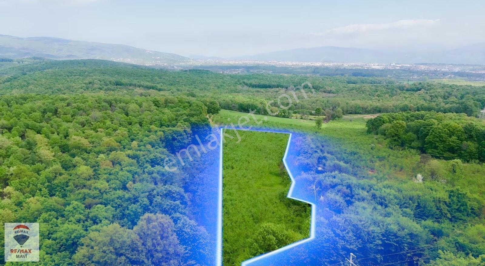 Sakarya Hendek Şeyhler 8.330 M² Tarla 118 Ada 2parsel Yatırımlık - Görsel 4