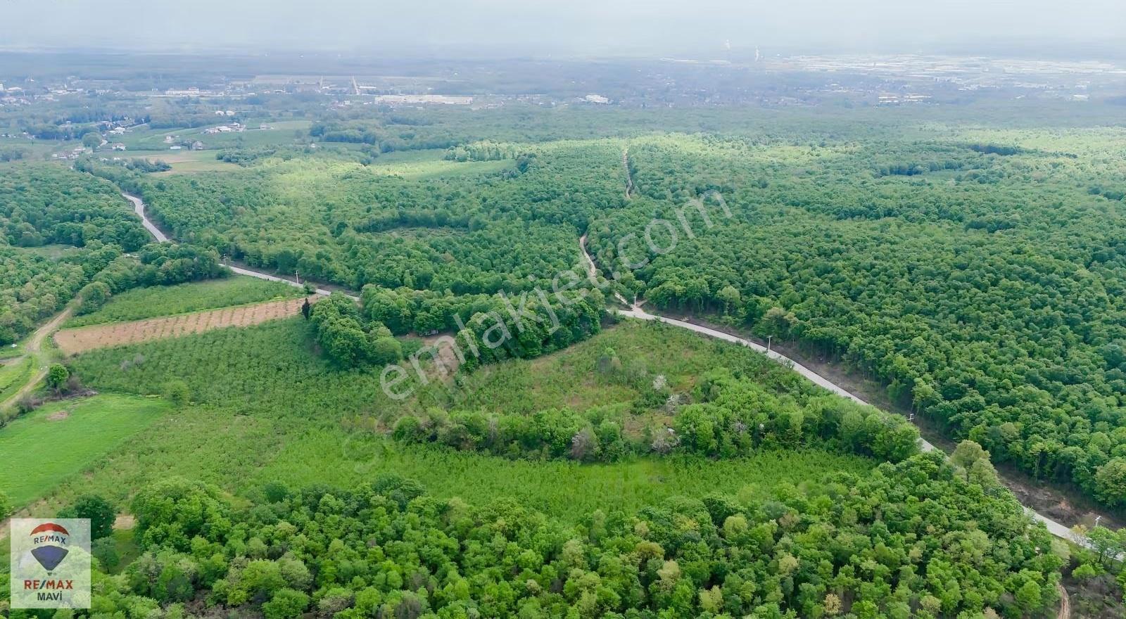 Sakarya Hendek Şeyhler 8.330 M² Tarla 118 Ada 2parsel Yatırımlık - Görsel 10