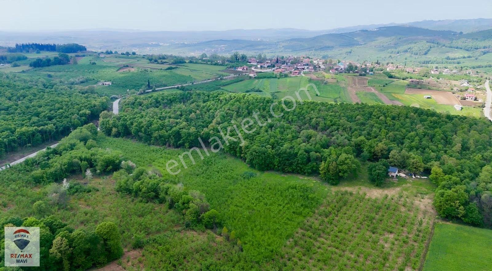 Sakarya Hendek Şeyhler 8.330 M² Tarla 118 Ada 2parsel Yatırımlık - Görsel 9