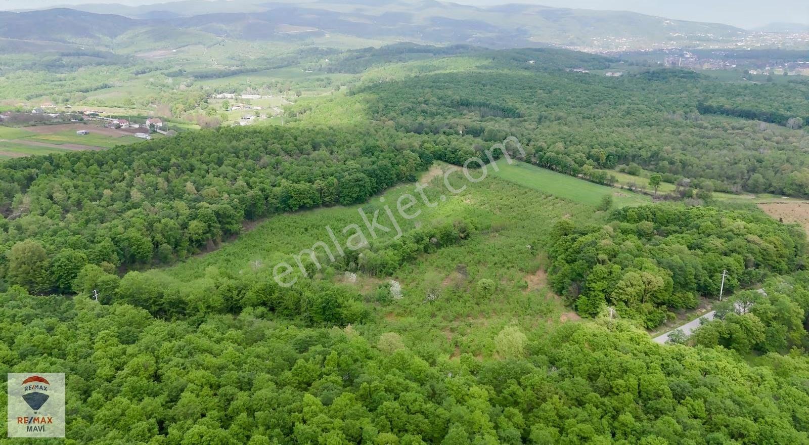 Sakarya Hendek Şeyhler 8.330 M² Tarla 118 Ada 2parsel Yatırımlık - Görsel 11