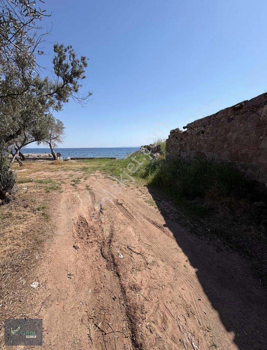 Ayvacık Kayalar Köyü Sahil Yolu Üzerinde Satılık Yazlık - Görsel 22