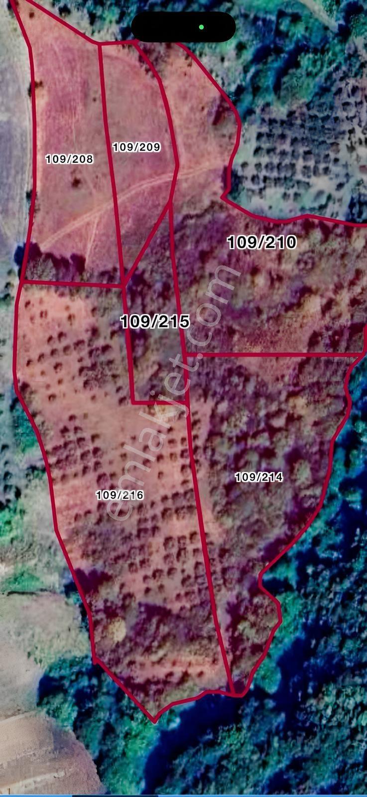 Yenişehir Kozdere 'de Tek Tapulu 7.800 M2 Arazi - Görsel 4