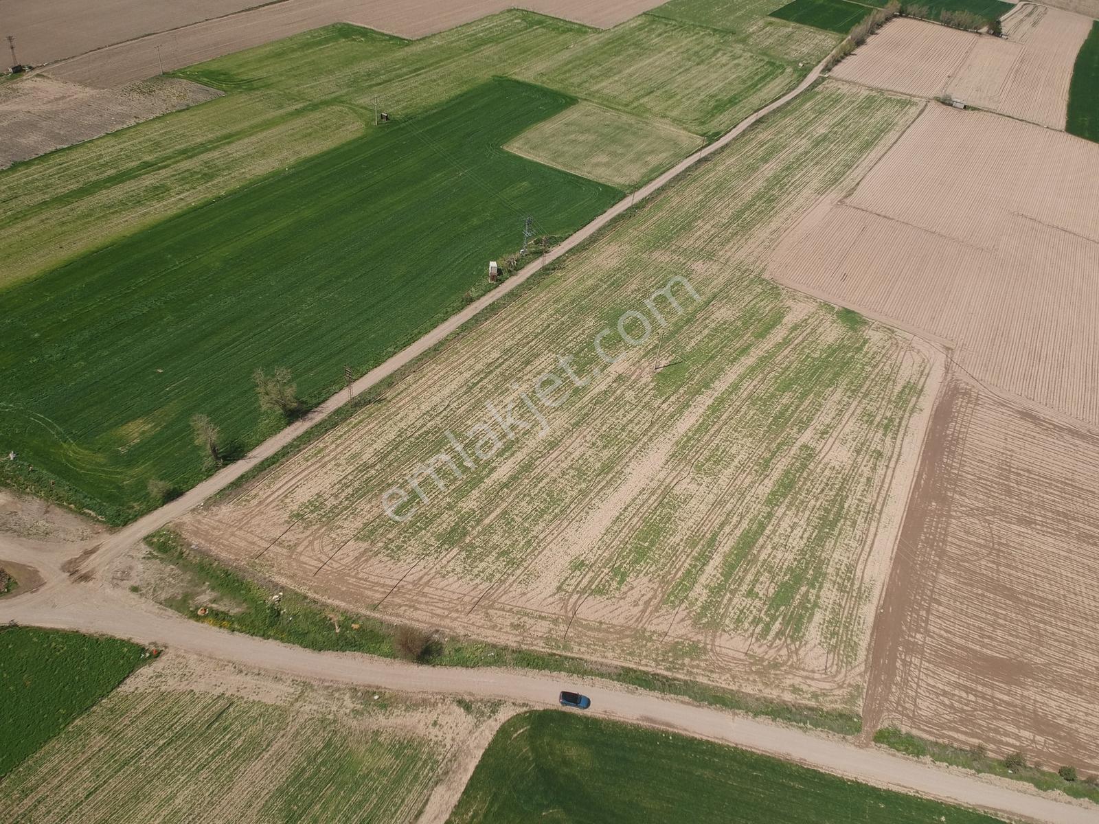 İlbey // Şuhut Kocanasuh Çayırı Mevkiinde 10493 M² Kuyulu Tarla - Görsel 15