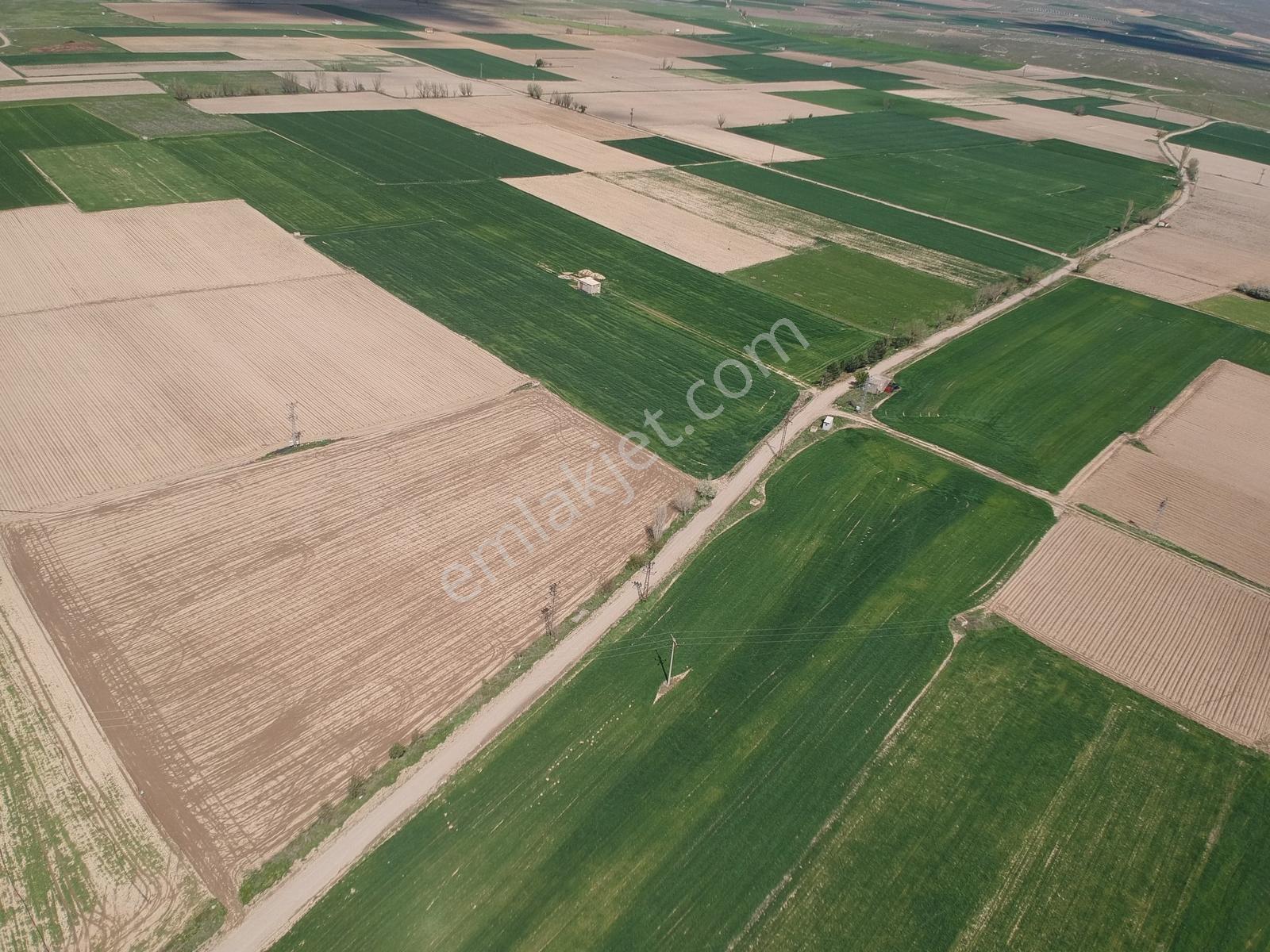 İlbey // Şuhut Kocanasuh Çayırı Mevkiinde 10493 M² Kuyulu Tarla - Görsel 16