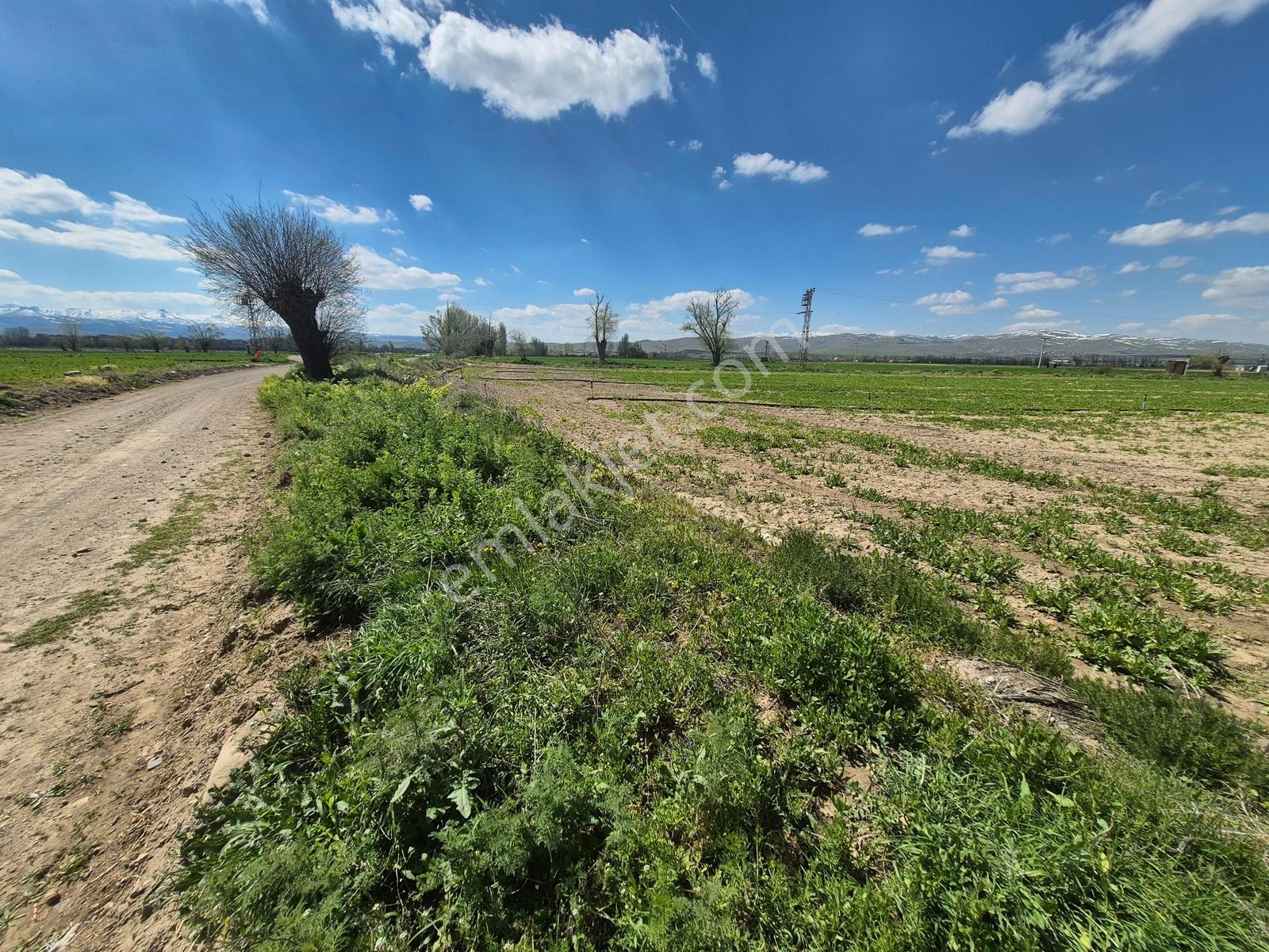 İlbey // Şuhut Kocanasuh Çayırı Mevkiinde 10493 M² Kuyulu Tarla - Görsel 17