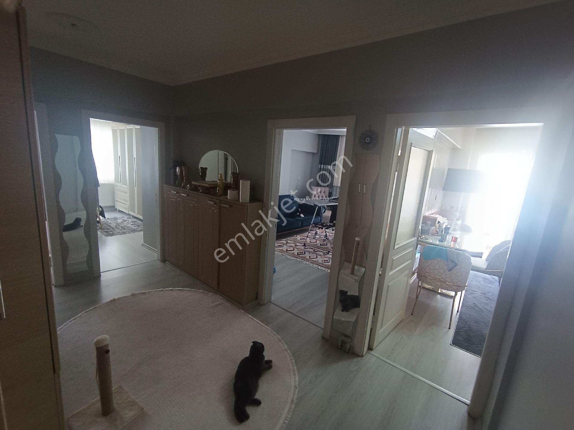 Köşe Başı Cadde Üzeri - Görsel 12