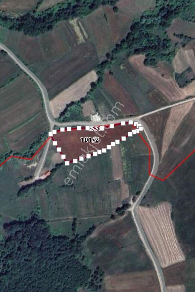 Kavakta Fırsat Arsa - Görsel 2