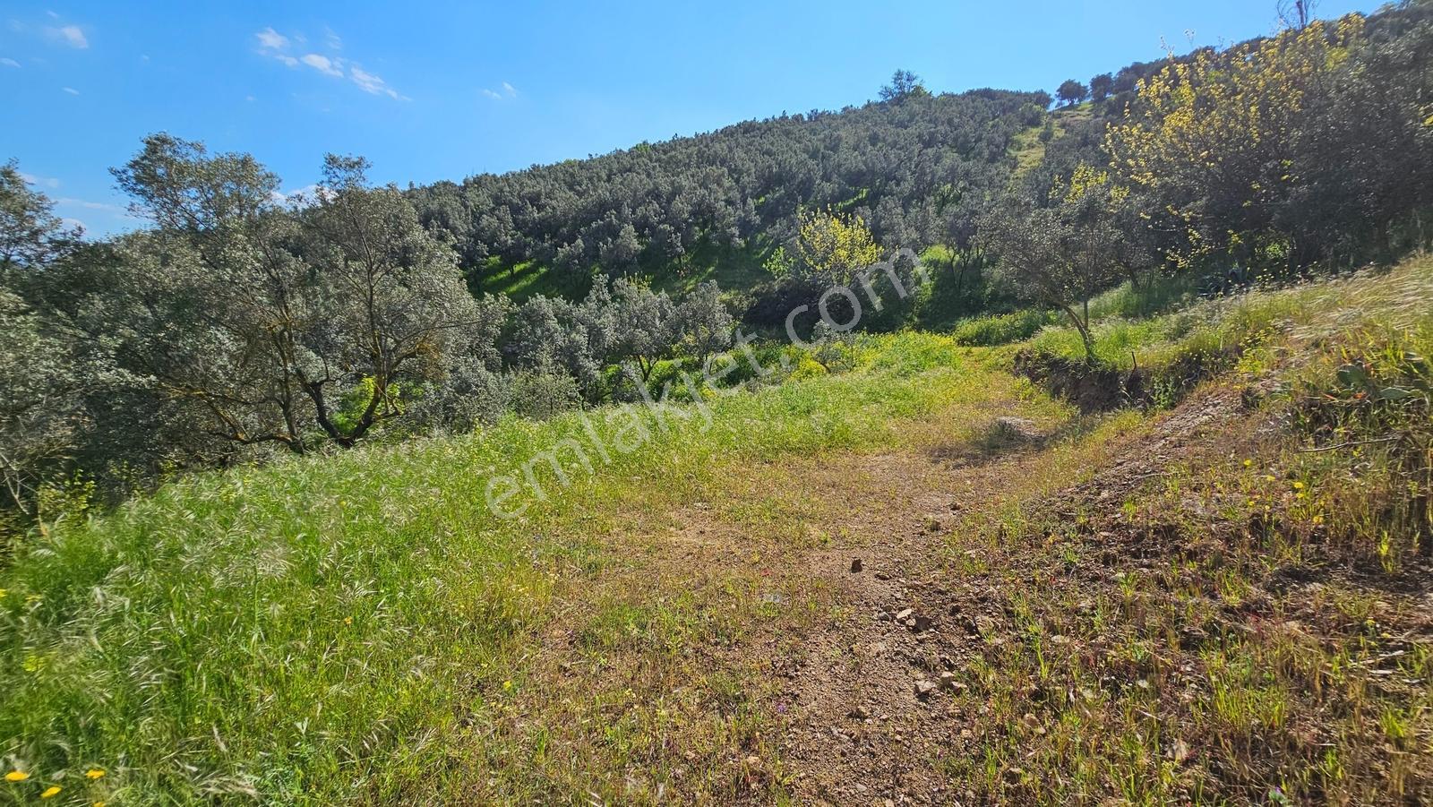 Orhangazi Çakırlı' Harika Göl Manzaralı/yolu Olan 1,127 M² Tarla - Görsel 3