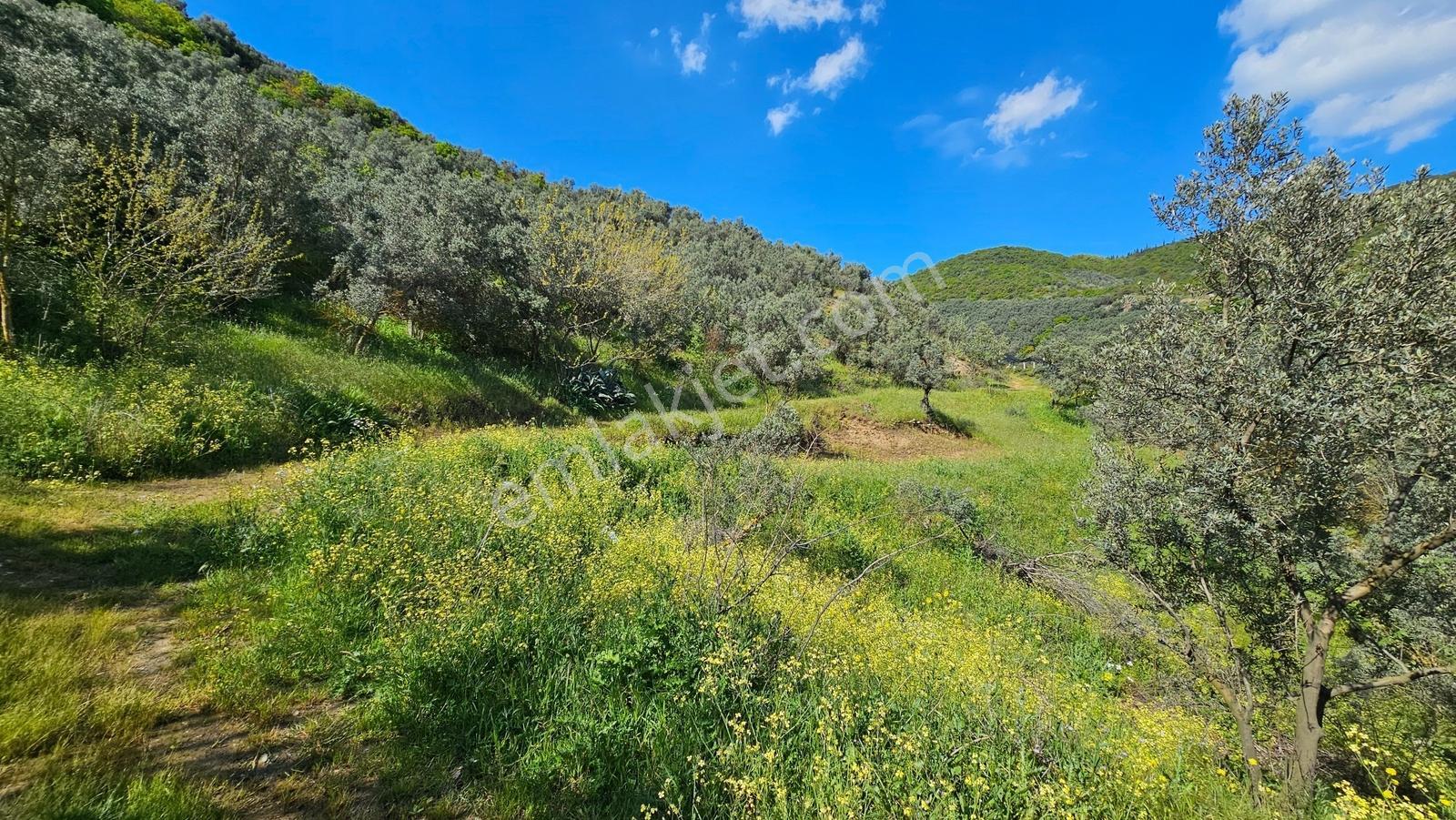 Orhangazi Çakırlı' Harika Göl Manzaralı/yolu Olan 1,127 M² Tarla - Görsel 7