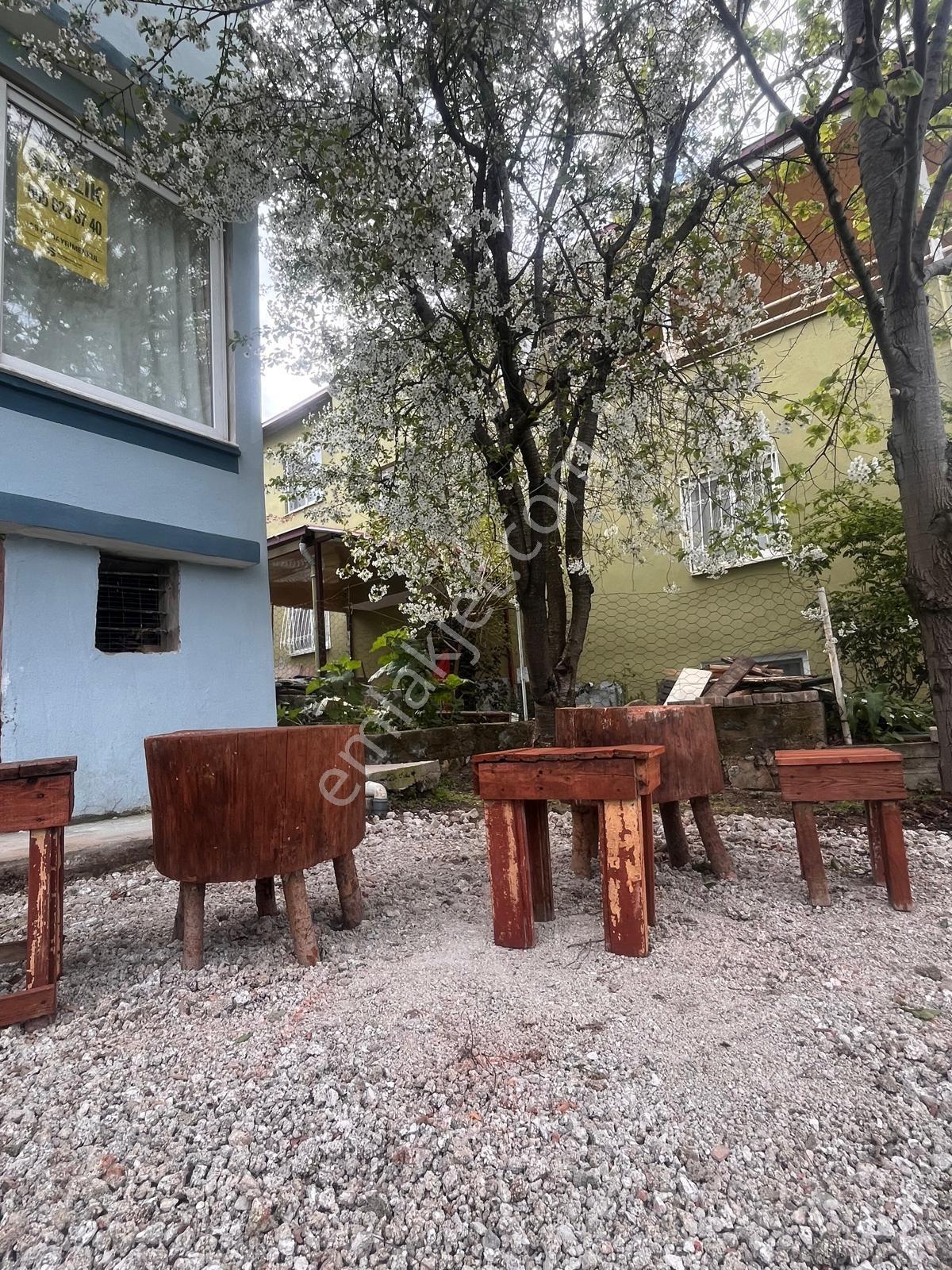 Asya'dan Bekiralanı Süper Manzara Yayla Evi - Görsel 24