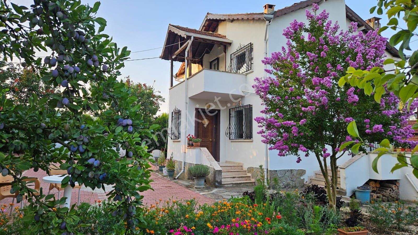 Bursa Yenişehir 4243 M2 Arazi İçinde Çiftlik Evi