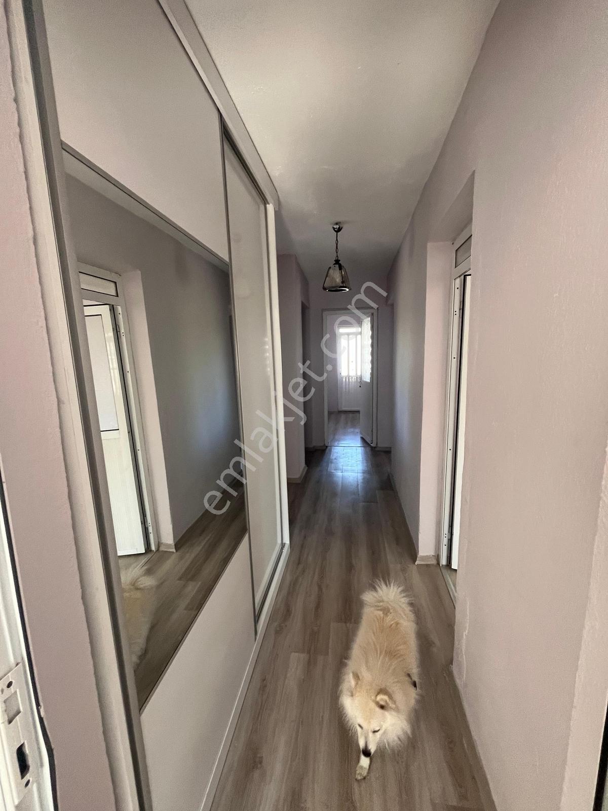 Rotam Emlaktan Ortaca'da 1337m² Tarla İçinde Satılık Mustakil Ev - Görsel 12