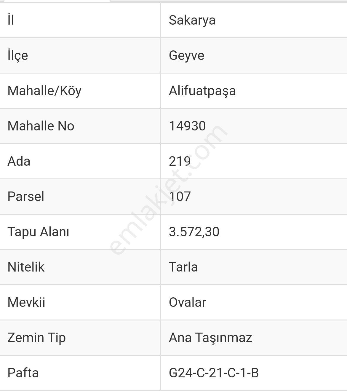 Remax Hür'den Geyve'de Sakarya Nehri Kenarında Satılık Cevizlik - Görsel 10