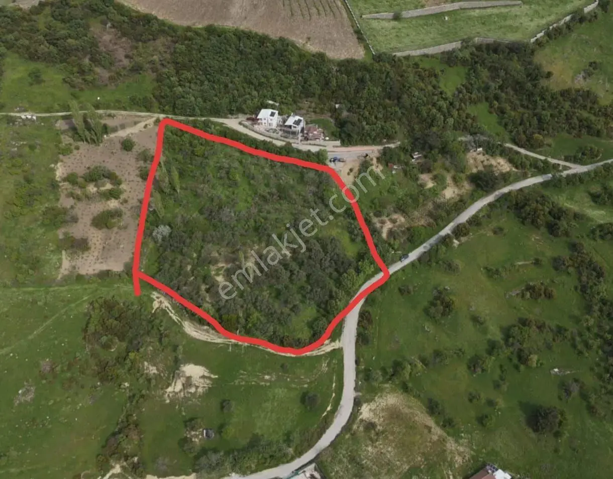 Bornova Beşyol Da Satılık Zeytinlik Tarla