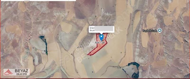 Beyaz Emlak'tan Çayboyu Mh. 33.000 M2 Satılık Tarla