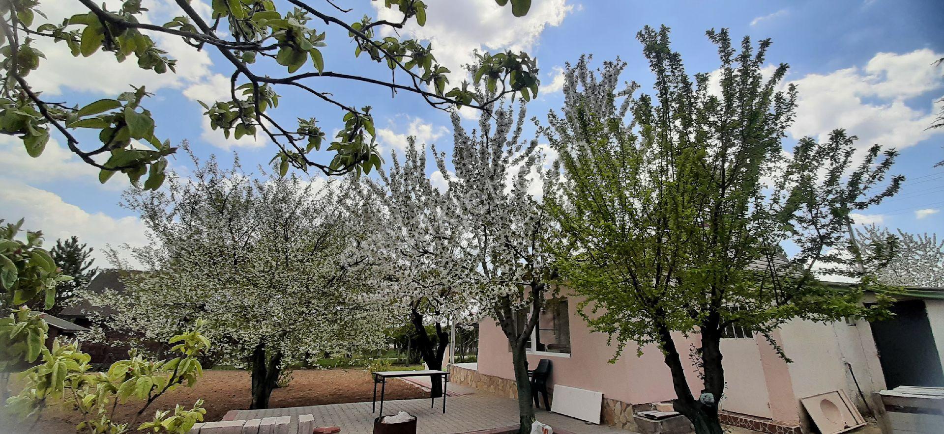 Gölbaşı Gökçehöyük Küme Evleri Sitesinde 700 M2 Meyve Bahçesi İçinde Doğalgaz Kombili Müstakil Ev - Görsel 7