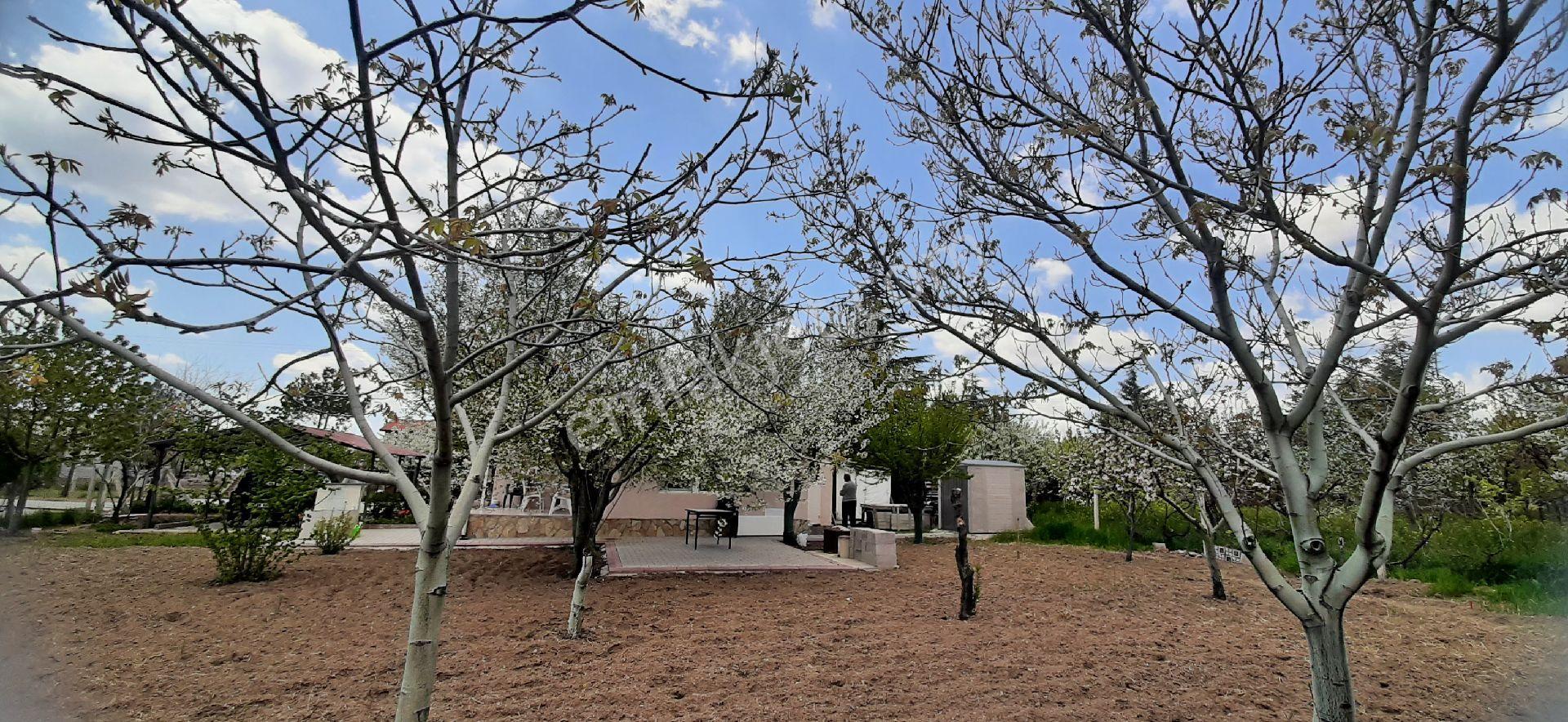 Gölbaşı Gökçehöyük Küme Evleri Sitesinde 700 M2 Meyve Bahçesi İçinde Doğalgaz Kombili Müstakil Ev - Görsel 8