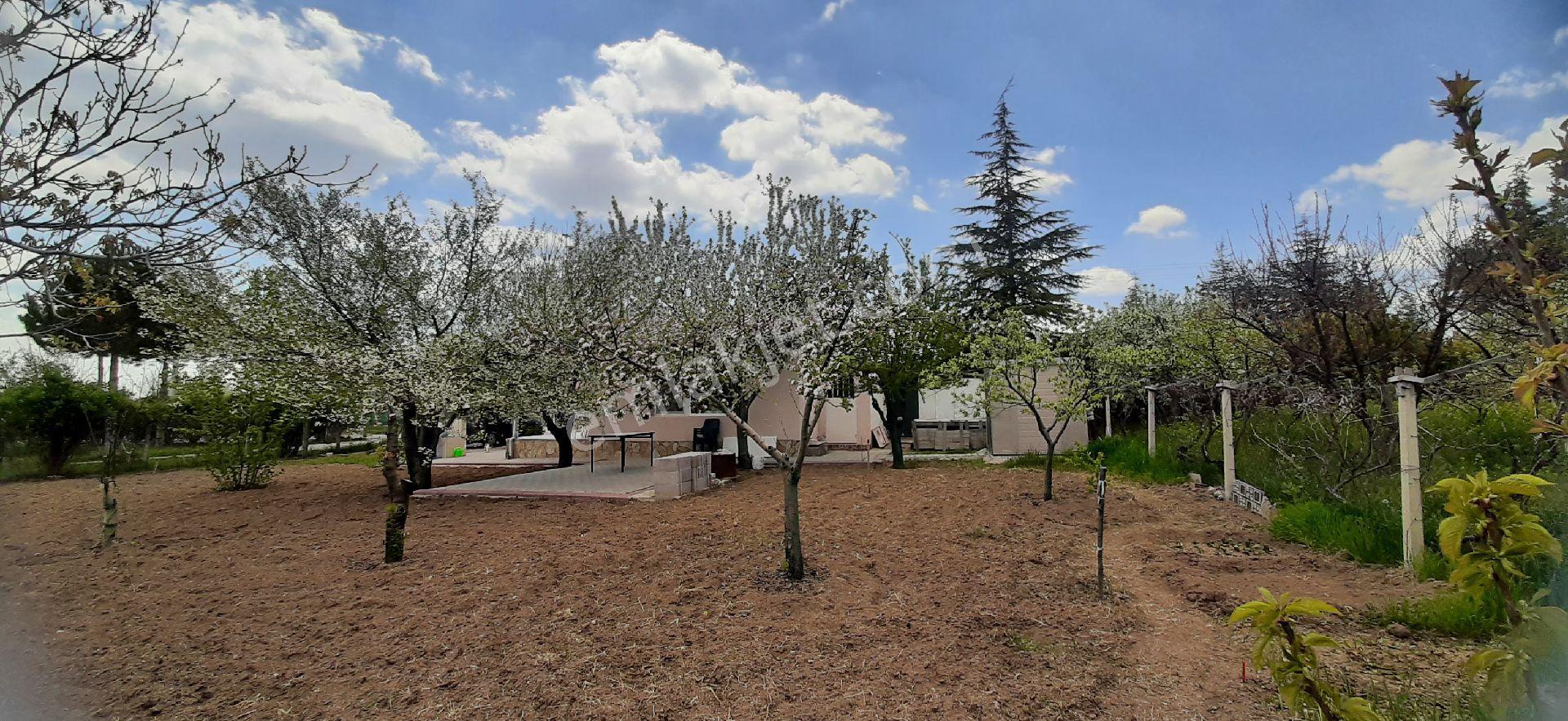 Gölbaşı Gökçehöyük Küme Evleri Sitesinde 700 M2 Meyve Bahçesi İçinde Doğalgaz Kombili Müstakil Ev - Görsel 6
