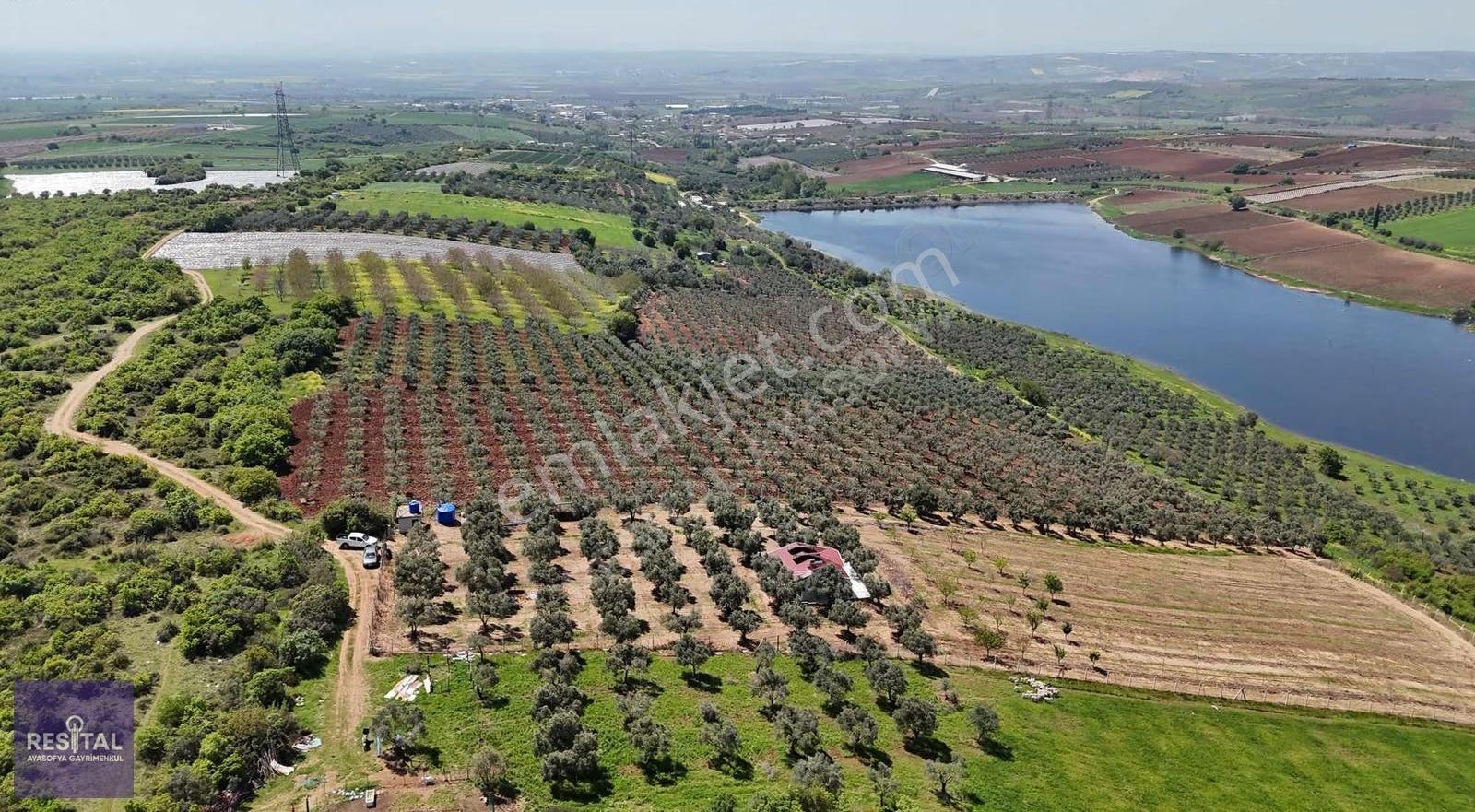 Karacabey Dağkadı Da 10750m2 Satılık Manzaralı Bahçeli Tarla - Görsel 13
