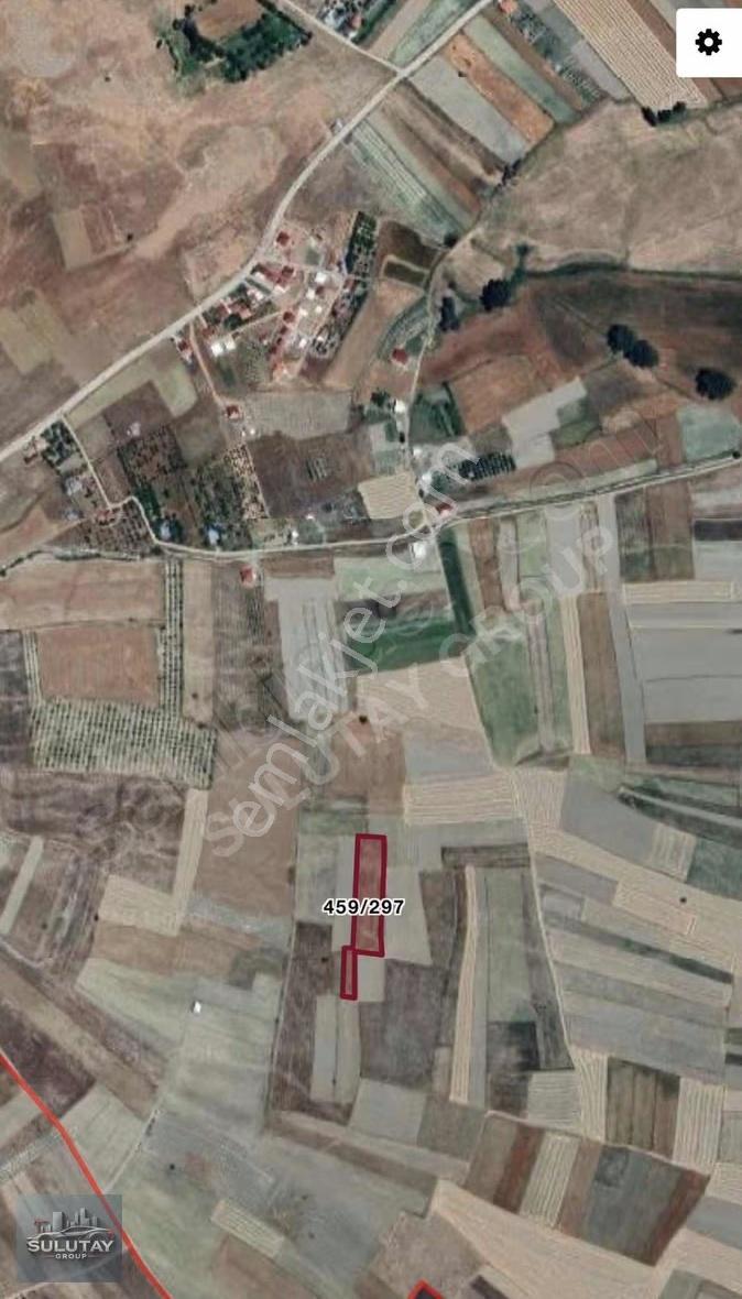 Korkuteli Taşkesiğinde 4.567 M² Tek Tapu Yatırımlık Tarla