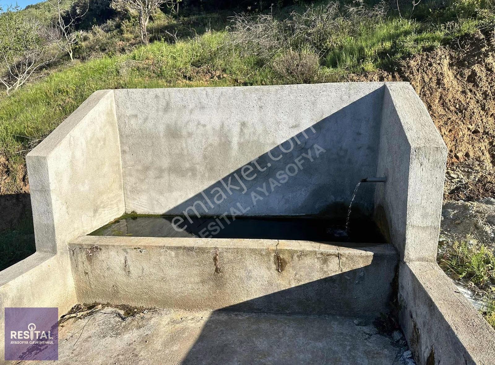 Bandırma Sahil Yenice De Yolu Olan Manzaralı Zeytinlik - Görsel 9