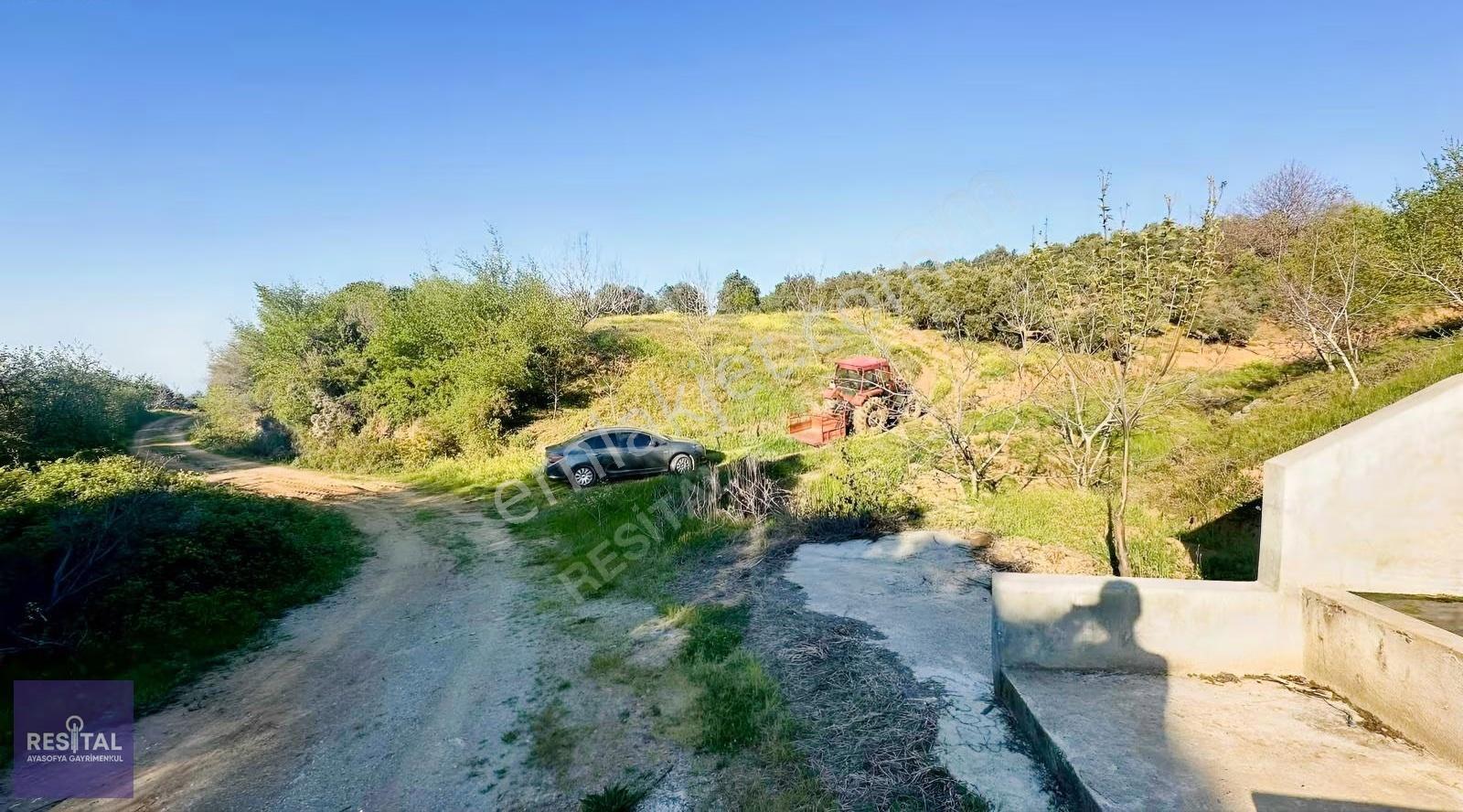 Bandırma Sahil Yenice De Yolu Olan Manzaralı Zeytinlik - Görsel 5