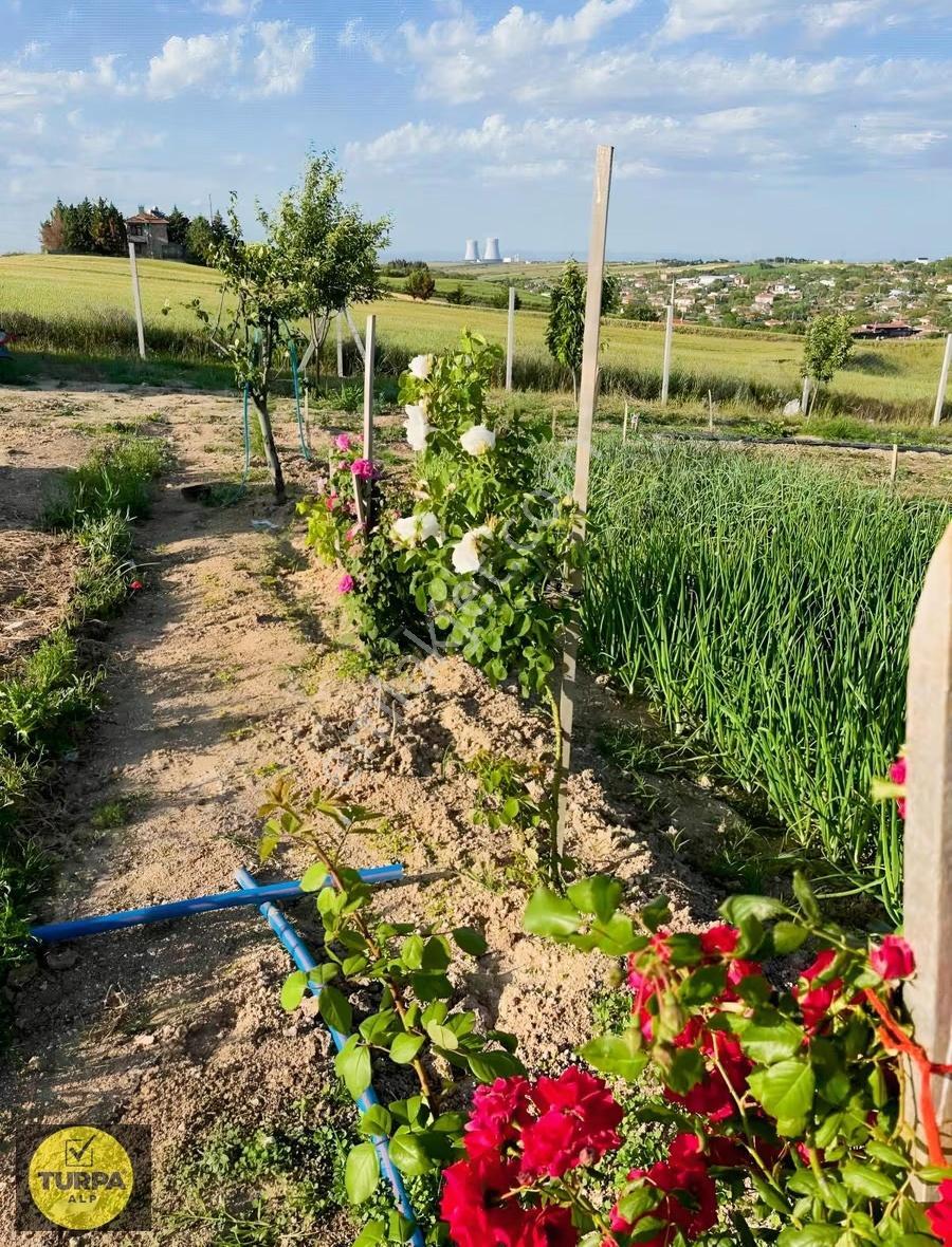 Lüleburgaz Ayvalı Köyünde İmarlı 5.150 M2 Tek Tapu - Görsel 7