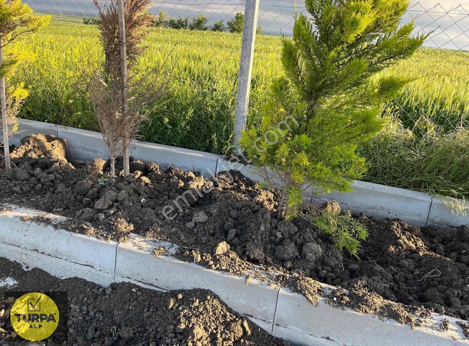 Lüleburgaz Ayvalı Köyünde İmarlı 5.150 M2 Tek Tapu - Görsel 5