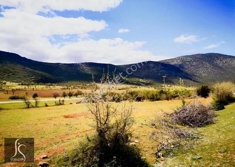 Denizli Acıpayam Kurtlar 191 Ada 2 Par 8.769m2 Tarla Müstakil - Görsel 4