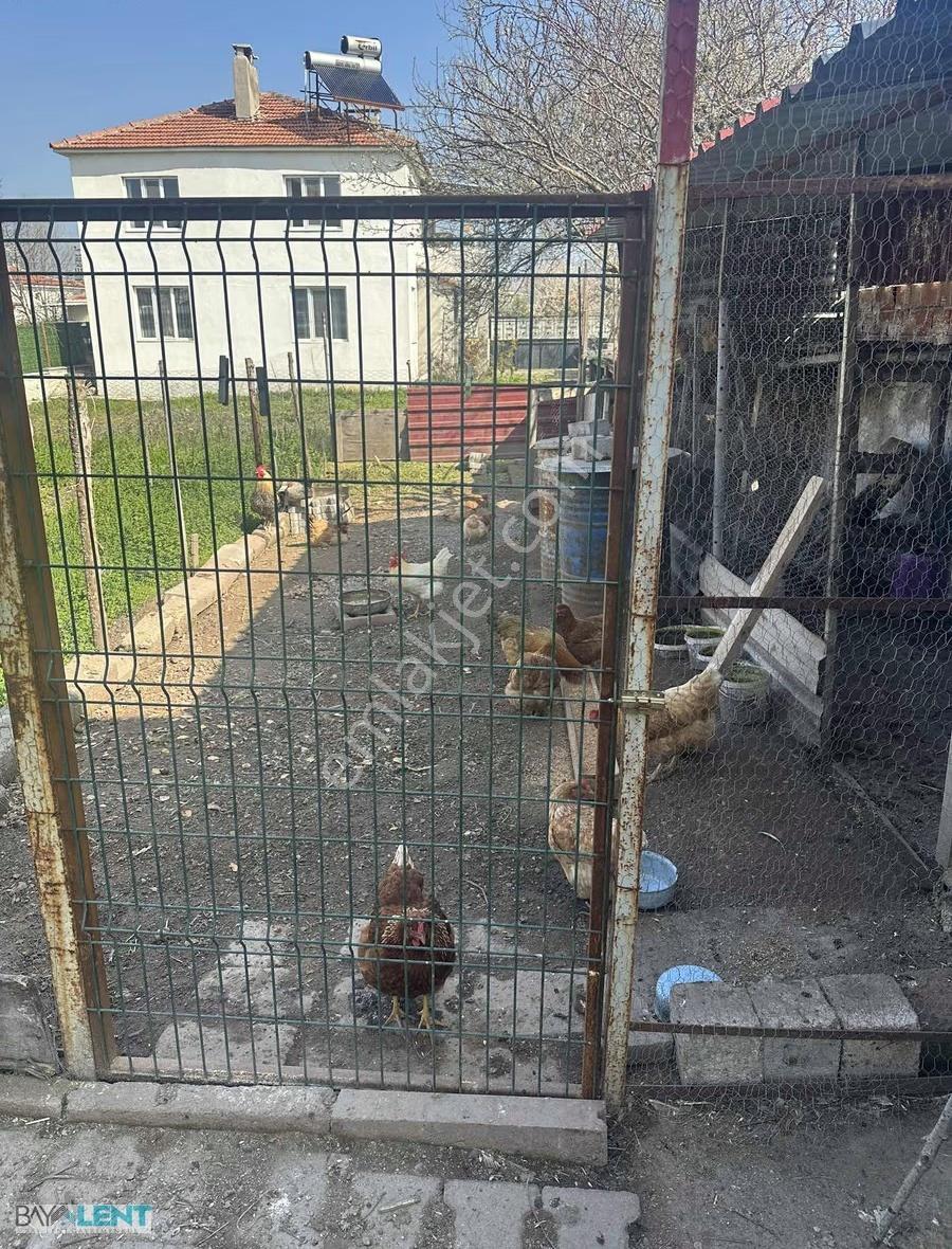 Köy Hayatı Tadında.. Kiralık 3+1 Eşyalı Daire - Görsel 5