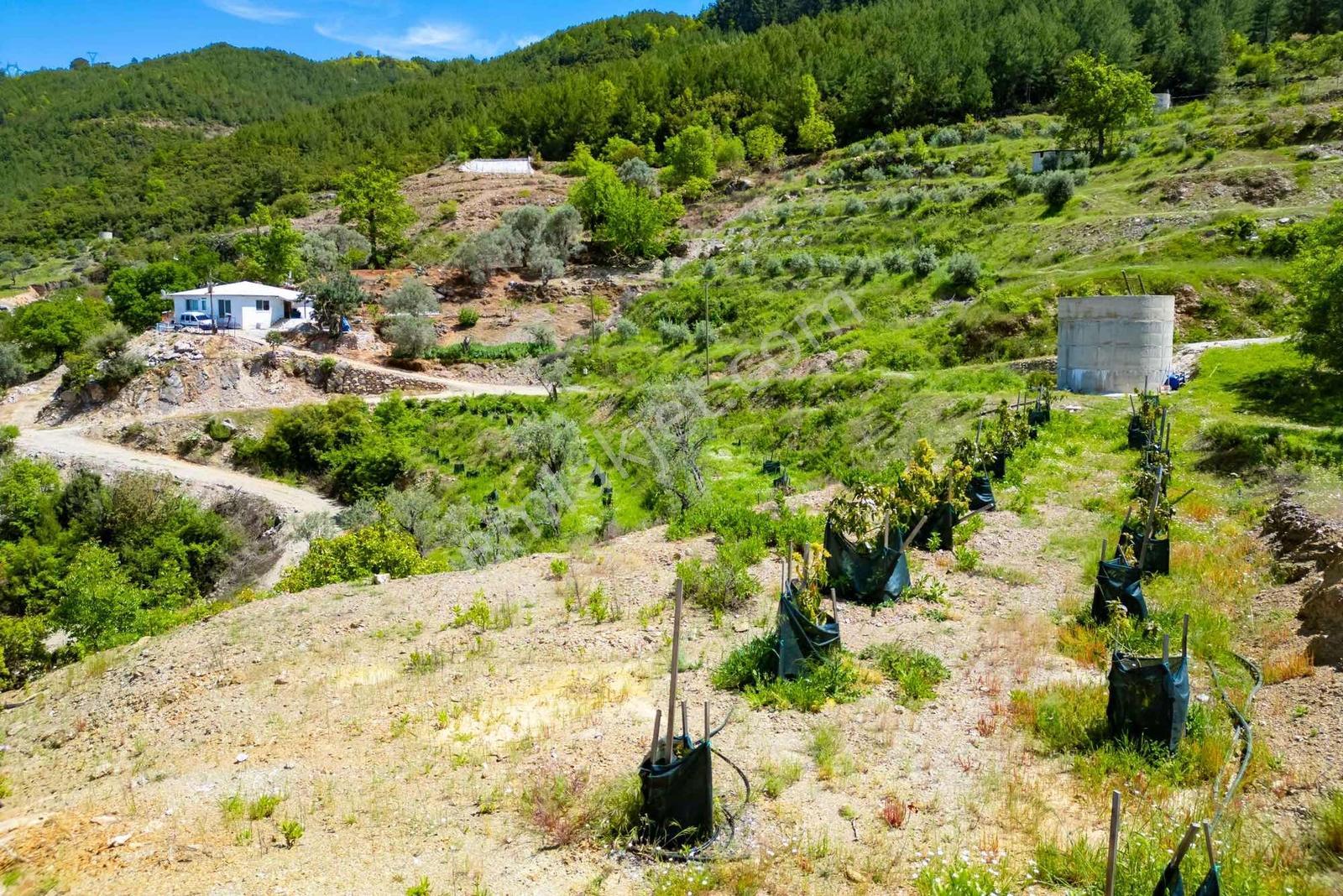 Alanya Gümüşgözede Satılık Yatırımlık Tarla - Görsel 22