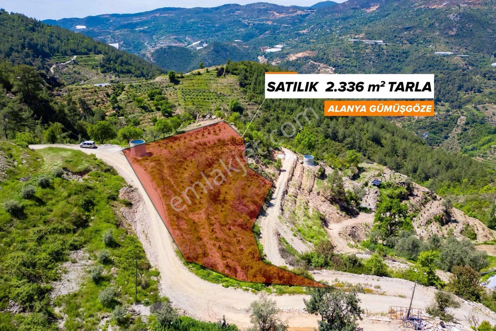 Alanya Gümüşgözede Satılık Yatırımlık Tarla